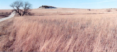 Julie's hill - mid-grass rangeland in northcentral Texas