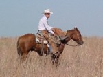 working cowboy on the prairie