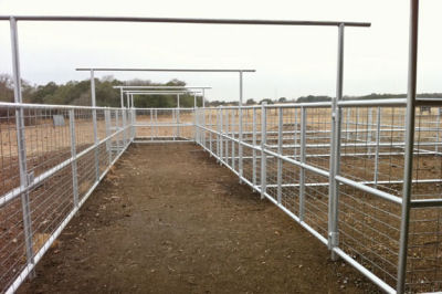 Well designed corral for holding, separating, working, weighing, and loading cattle