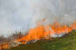 Prescribed burn on mid-grass rangeland