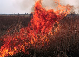 prescribed burning of the prairie